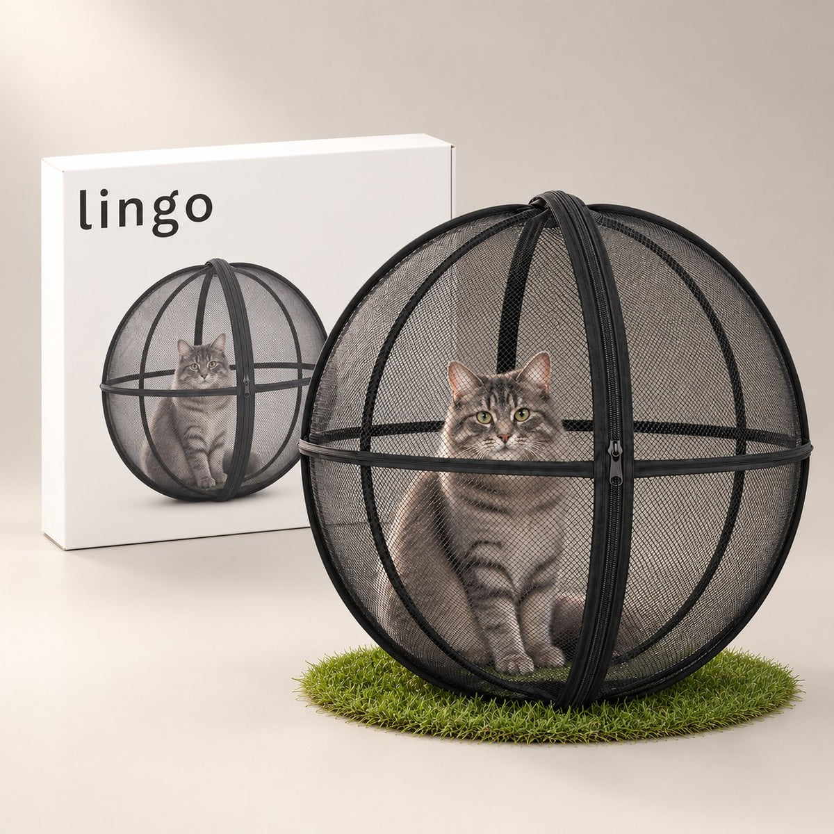 Grey cat inside the mesh playpen ball on a patch of grass, with the lingo box