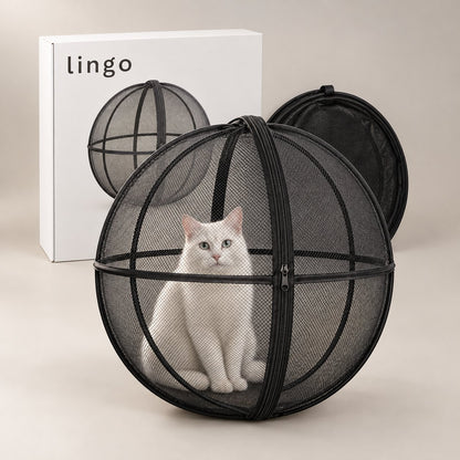 White cat in the playpen ball, the folded playpen and the lingo box