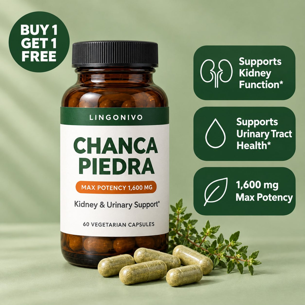 Max Potency Chanca Piedra bottle, buy 1 get 1 free, supports kidney function and urinary tract health, 1,600 mg