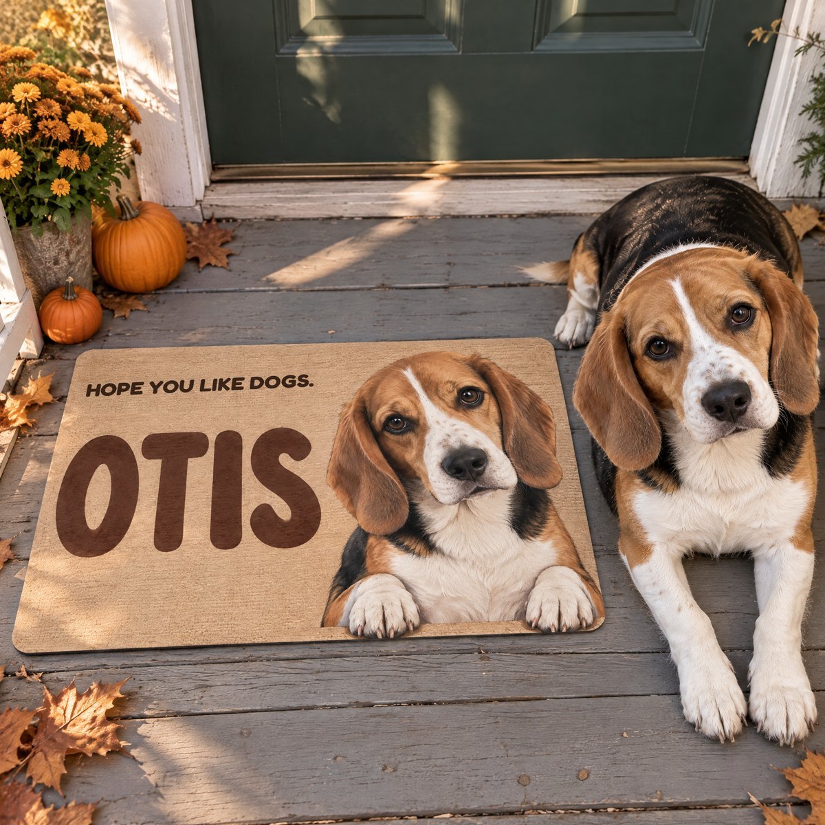 Doormat printed with a beagle named Otis and the words Hope you like dogs, in front of a green front door, with the real beagle lying beside it