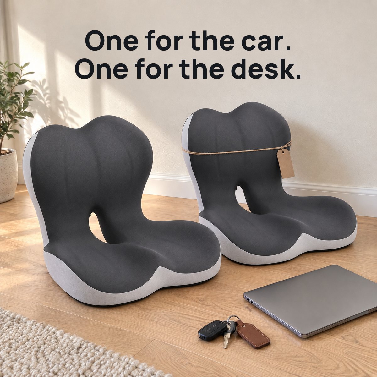 Two seat cushions, one for the car and one for the desk