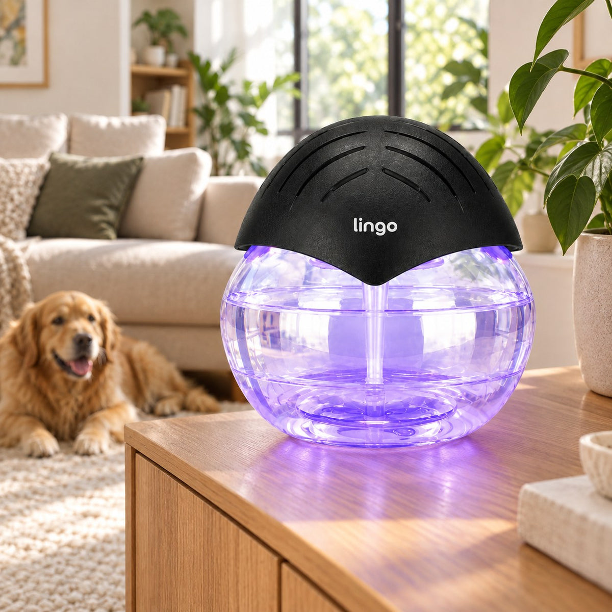 The purifier on a living-room sideboard
