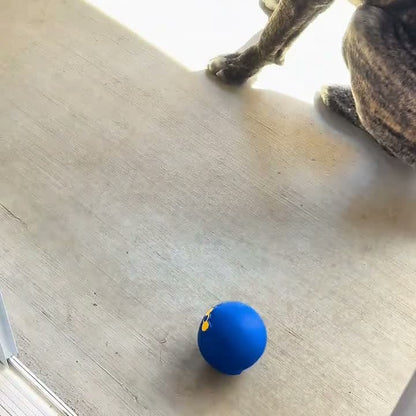 A frozen treat popped out of the tray