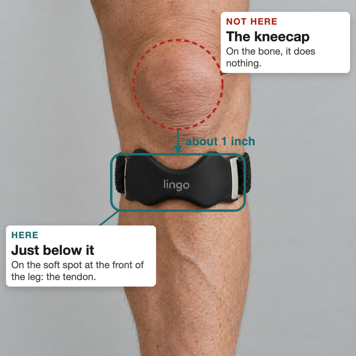 Where the strap goes: about one inch below the kneecap