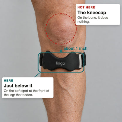 Where the strap goes: about one inch below the kneecap