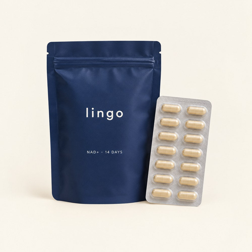 Lingo NAD+ travel pack